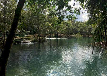 Polícia Ambiental em Bonito autua dono de atrativo turístico por desmatamento